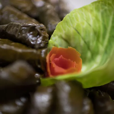 Narcissos Waterpark מלון דירות 4*